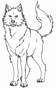 Desenho de Lobo Desenho Colorir Imprimir 12