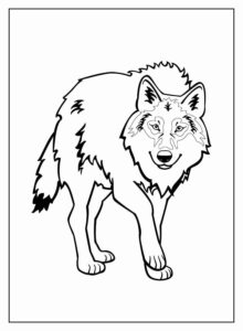 Desenho de Lobo Desenho Colorir Imprimir 17