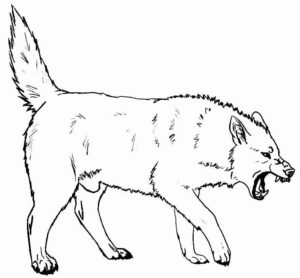 Desenho de Lobo Desenho Colorir Imprimir 21