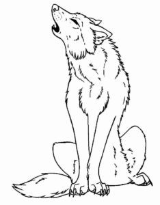 Desenho de Lobo Desenho Colorir Imprimir 22