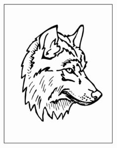 Desenho de Lobo Desenho Colorir Imprimir 25