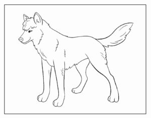 Desenho de Lobo Desenho Colorir Imprimir 26