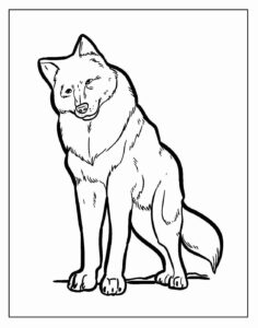 Desenho de Lobo Desenho Colorir Imprimir 28