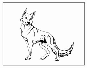 Desenho de Lobo Desenho Colorir Imprimir 29