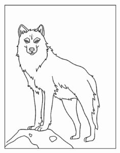 Desenho de Lobo Desenho Colorir Imprimir 31