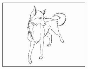 Desenho de Lobo Desenho Colorir Imprimir 33