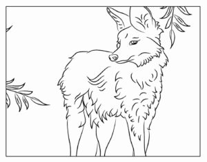 Desenho de Lobo Desenho Colorir Imprimir 35