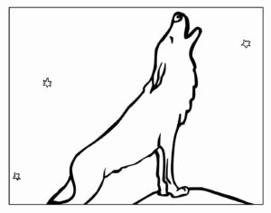 Desenho de Lobo Desenho Colorir Imprimir 42
