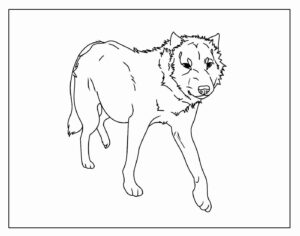 Desenho de Lobo Desenho Colorir Imprimir 44