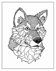 Desenho de Lobo Desenho Colorir Imprimir 47