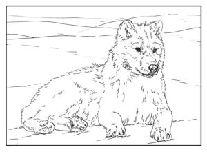 Desenho de Lobo Desenho Colorir Imprimir 54