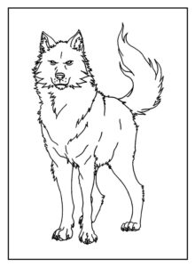 Desenho de Lobo Desenho Colorir Imprimir 55