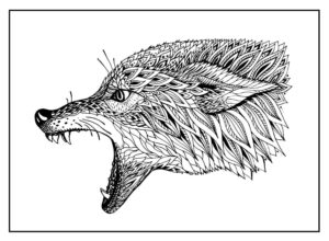 Desenho de Lobo Desenho Colorir Imprimir 61