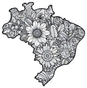 Desenho de Mapa Do Brasil Desenho Colorir Imprimir 08