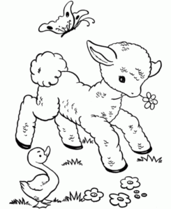 Desenho de Ovelha Desenho Colorir Imprimir 08