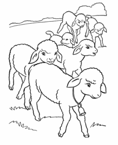 Desenho de Ovelha Desenho Colorir Imprimir 10