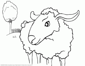 Desenho de Ovelha Desenho Colorir Imprimir 13