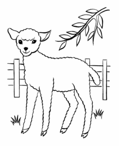 Desenho de Ovelha Desenho Colorir Imprimir 17