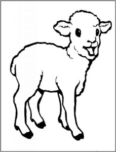 Desenho de Ovelha Desenho Colorir Imprimir 18