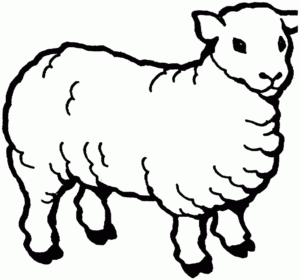 Desenho de Ovelha Desenho Colorir Imprimir 20