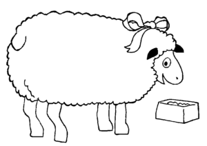 Desenho de Ovelha Desenho Colorir Imprimir 22