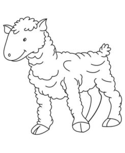 Desenho de Ovelha Desenho Colorir Imprimir 24