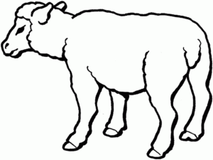 Desenho de Ovelha Desenho Colorir Imprimir 25