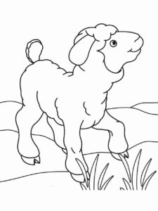 Desenho de Ovelha Desenho Colorir Imprimir 26