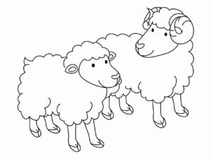 Desenho de Ovelha Desenho Colorir Imprimir 33