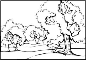 Desenho de Paisagens Desenho Colorir Imprimir 15