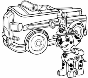 Desenho de Patrulha Canina Desenho Colorir Imprimir 010