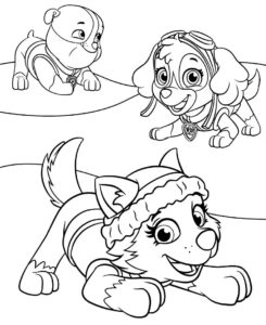 Desenho de Patrulha Canina Desenho Colorir Imprimir 027