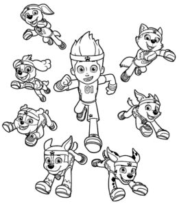 Desenho de Patrulha Canina Desenho Colorir Imprimir 035
