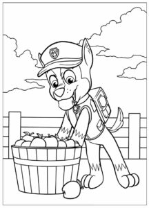 Desenho de Patrulha Canina Desenho Colorir Imprimir 038