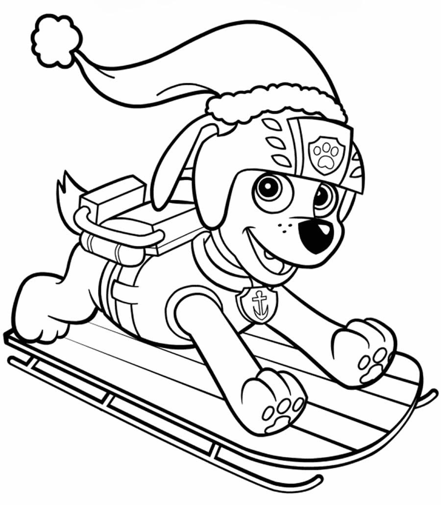 Desenho de Patrulha Canina Desenho Colorir Imprimir 041