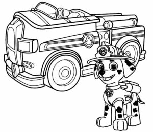 Desenho de Patrulha Canina Desenho Colorir Imprimir 061