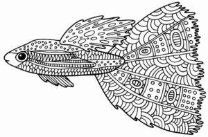 Desenho de Peixes Desenho Colorir Imprimir 008
