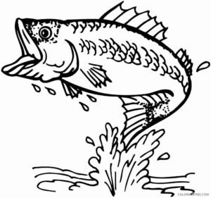 Desenho de Peixes Desenho Colorir Imprimir 009