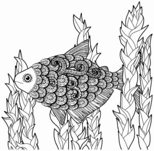Desenho de Peixes Desenho Colorir Imprimir 012
