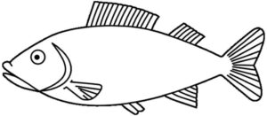 Desenho de Peixes Desenho Colorir Imprimir 022