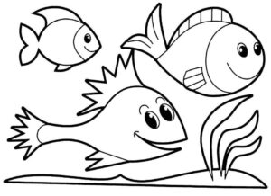 Desenho de Peixes Desenho Colorir Imprimir 026