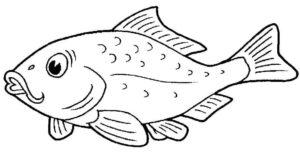 Desenho de Peixes Desenho Colorir Imprimir 029