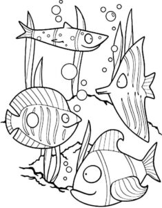 Desenho de Peixes Desenho Colorir Imprimir 030