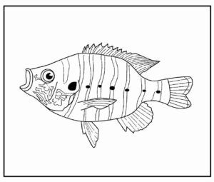Desenho de Peixes Desenho Colorir Imprimir 037