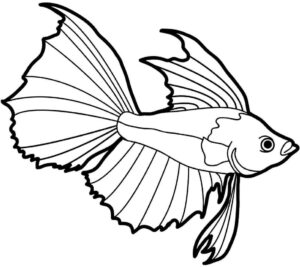 Desenho de Peixes Desenho Colorir Imprimir 044