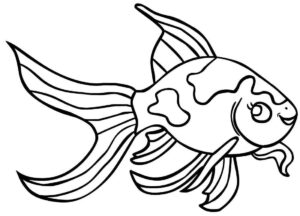 Desenho de Peixes Desenho Colorir Imprimir 045
