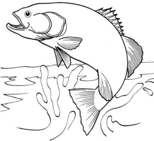 Desenho de Peixes Desenho Colorir Imprimir 047