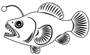 Desenho de Peixes Desenho Colorir Imprimir 050