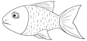 Desenho de Peixes Desenho Colorir Imprimir 054