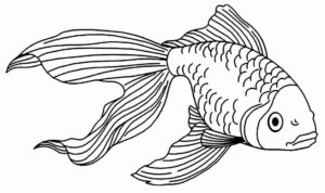 Desenho de Peixes Desenho Colorir Imprimir 071